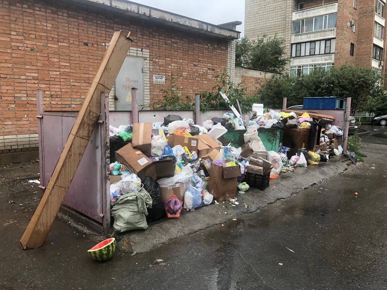 В Усть-Каменогорске планируют оборудовать площадки для крупногабаритного мусора