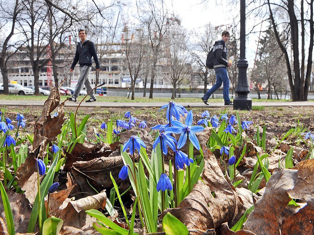 Что за праздник в конце апреля. Апрель в городе. Апрель в Москве. Челябинск весной.