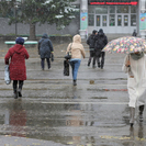 Сильный дождь, гроза, град ожидаются в ВКО