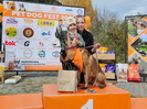 В Усть-Каменогорске состоялся фестиваль "PET DOG FEST – 2024"