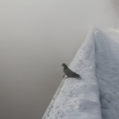 В Усть-Каменогорске ожидается резкое понижение температуры 