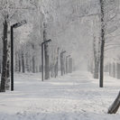 В ВКО возвращаются морозы