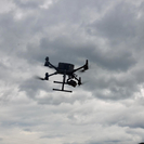 В Усть-Каменогорске полицейские с помощью дронов выявляют бесхозных сельхозживотных 