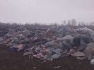 В Усть-Каменогорске пообещали ликвидировать выявленную горожанами несанкционированную свалку