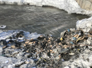 В ВКО привлекли к ответственности виновного за сброс мусора в реку 