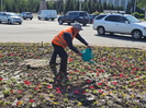 В Усть-Каменогорске повсеместно высаживают цветы
