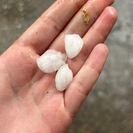 В Усть-Каменогорске прошёл сильный град