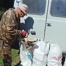 В ВКО лесники констатируют: люди всё чаще намеренно вывозят мусор в лес