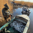 В ВКО полтонны рыбы изъяли у браконьеров на озере Зайсан