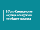 В Усть-Каменогорске на улице обнаружили погибшего человека