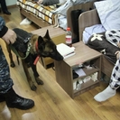 В Усть-Каменогорске полицейские нагрянули в студенческие общежития