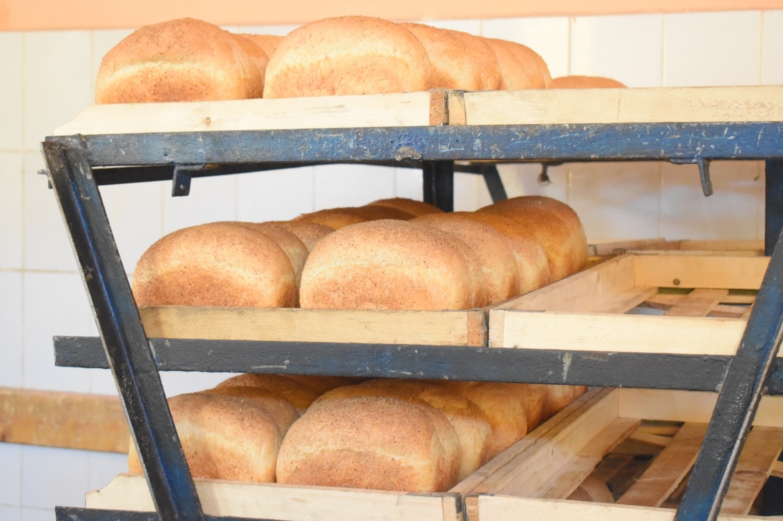 В ВКО за превышение цены на продукты оштрафовали более 20 предпринимателей