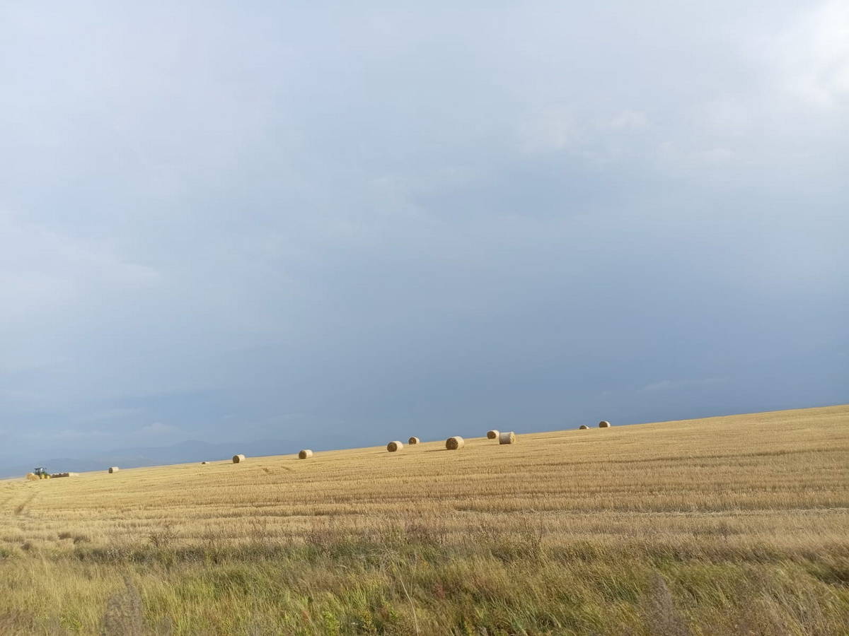 ВКО. В районе Самар переходят к орошаемому земледелию
