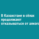 В Казахстане в сёлах продолжают отказываться от алкоголя