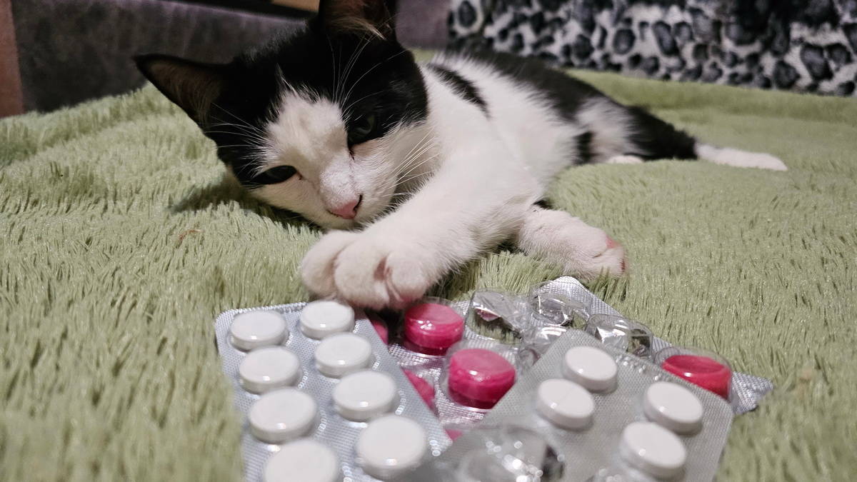 В Усть-Каменогорске зарегистрирован «гонконгский» грипп