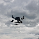 На трассе Усть-Каменогорск – Семей бесхозный скот выявляют с помощью дрона 