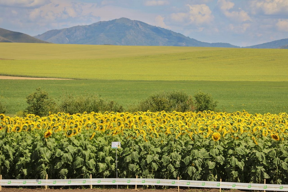 В ВКО посевные земли обрабатываются с применением цифровых систем