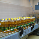 ВКО является лидером по производству растительного масла