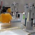 В Казахстане выявили 406 процедурных кабинетов с нарушениями