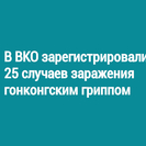 В ВКО зарегистрировали 25 случаев заражения гонконгским гриппом