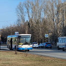 В Усть-Каменогорске создали рабочую группу по вопросам работы общественного транспорта