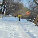 Снег и низовая метель снова ожидаются в Усть-Каменогорске 