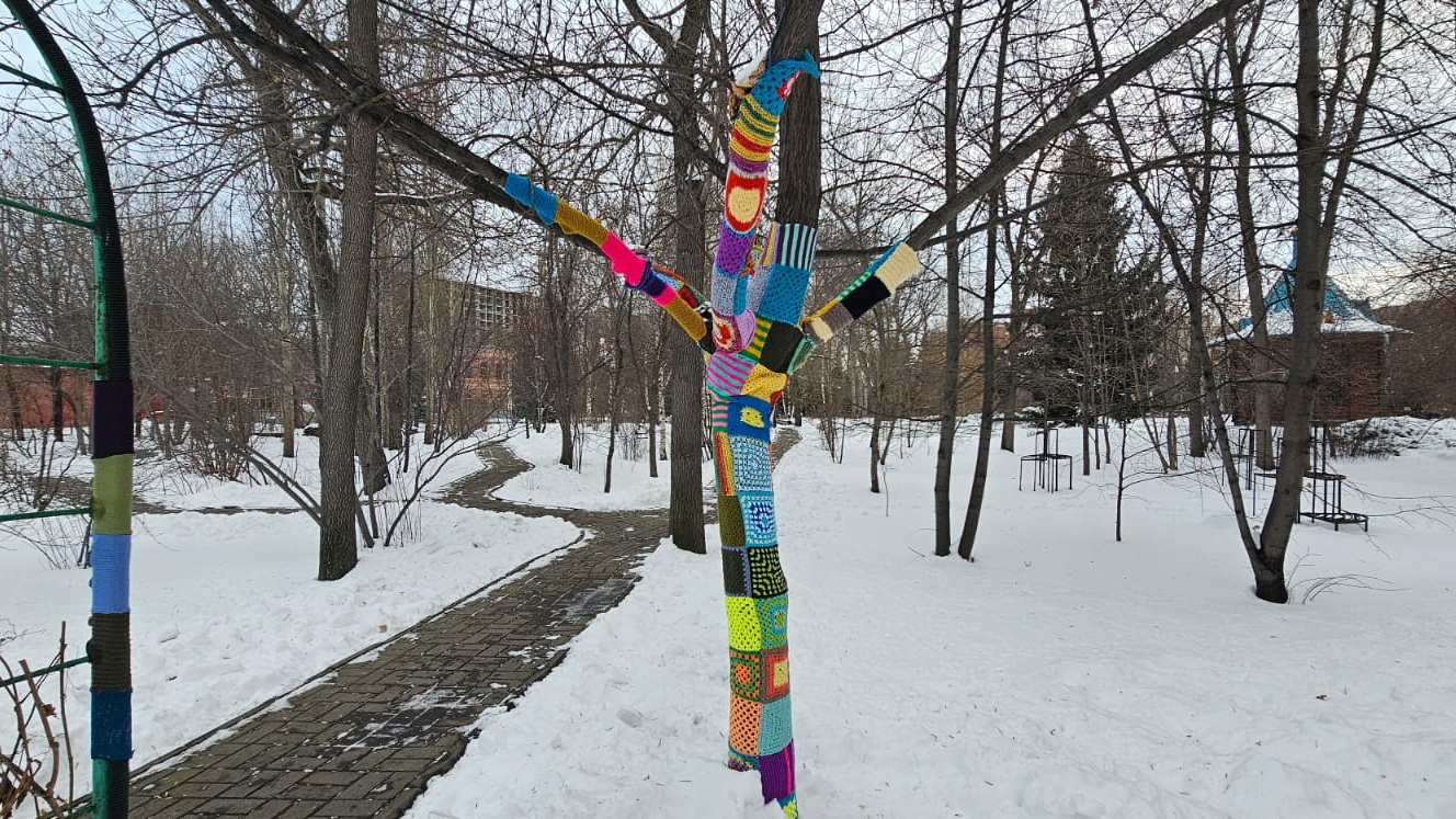 В Усть-Каменогорске в одном из парков дуб нарядили в вязаную «одежду»