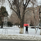 Усть-Каменогорск начали украшать к праздникам