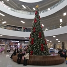 В Усть-Каменогорске первыми начали устанавливать новогодние ёлки предприниматели