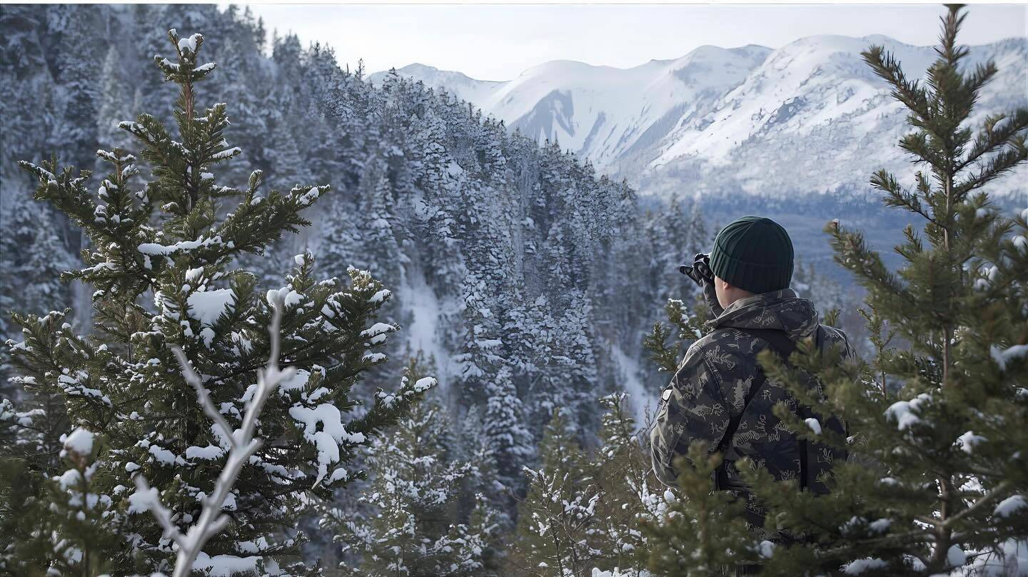 В ВКО с 1 декабря усиливается охрана молодых хвойных деревьев