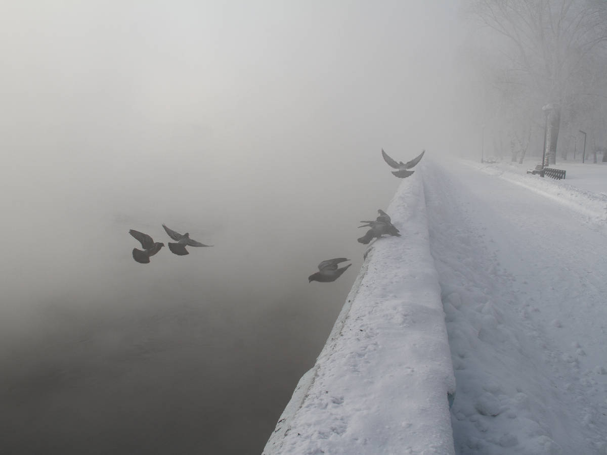 В Усть-Каменогорске ожидается 30-градусный мороз