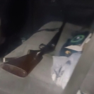 Жителя ВКО, застрелившего косулю, оштрафовали на 200 МРП