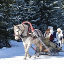 В Риддере во второй раз пройдет республиканский фестиваль «Аяз Ата Ақшақар»