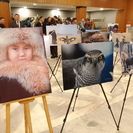 В Усть-Каменогорске прошла фотовыставка, посвященная фестивалю беркутчи