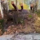 Загрязненные стоки, зола и шлаки с риддерской ТЭЦ попали в реку Тихую