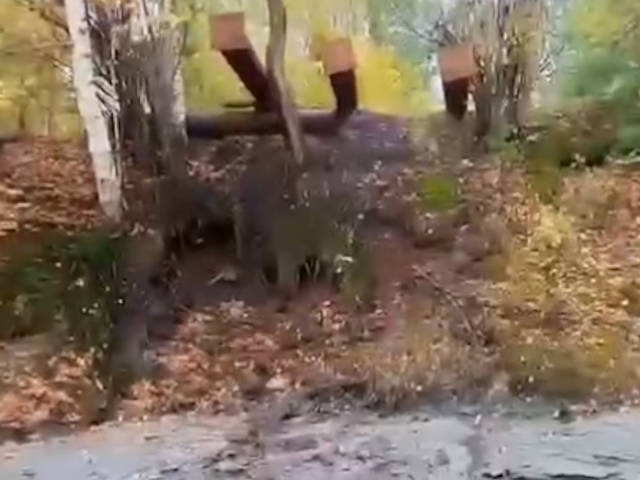 Загрязненные стоки, зола и шлаки с риддерской ТЭЦ попали в реку Тихую