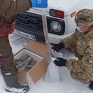 В одном из нацпарков разложили брикеты с вакциной против бешенства