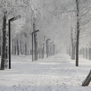 В ВКО в январе температура будет опускаться до минус 41°С