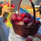 Какие продукты могут пополнить список социально значимых?