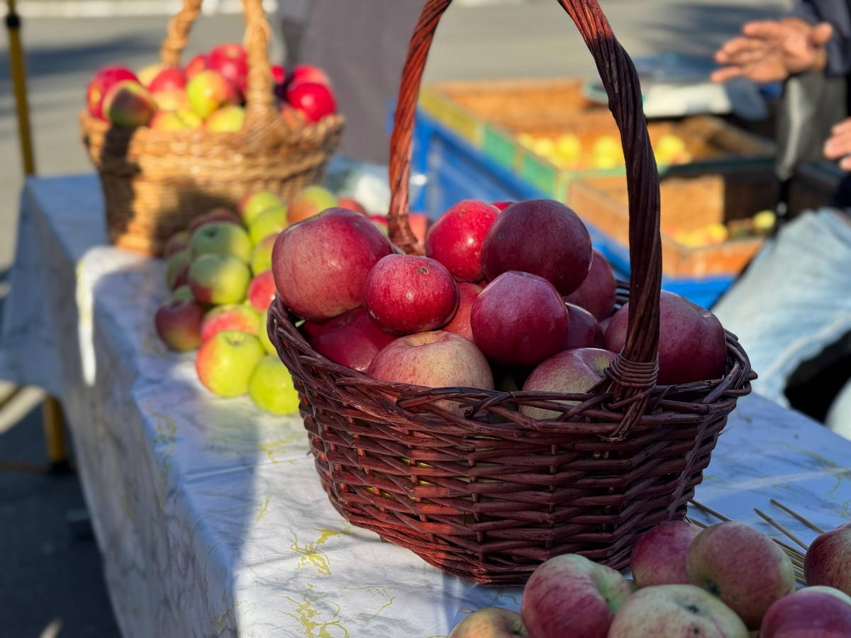 Какие продукты могут пополнить список социально значимых?