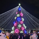 В Усть-Каменогорске прошёл парад Дед Морозов и зажгли главную елку ВКО