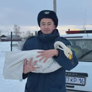 В ВКО обнаружили раненого лебедя