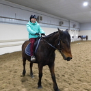 "Все мы немножко лошади..." Что мы знаем о символе 2026 года?