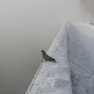 В ВКО столбики термометров опустились до минус 45 градусов