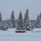 ВКО. В ряде районов столбики термометров опустились ниже 40 градусов