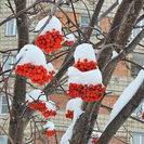 В Усть-Каменогорске побит температурный рекорд 1978 года