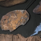 Ученые ВКО создали цифровой двойник уникального комплекса 