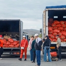 В Казахстане обсуждают беспошлинный ввоз овощей