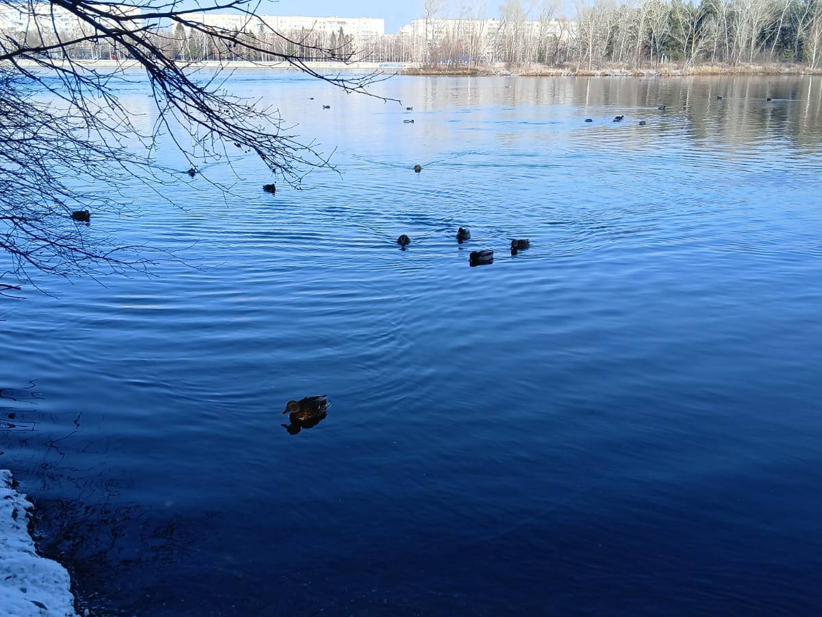 В ВКО не осталось чистых рек?