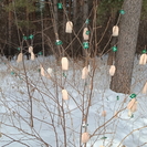 ВКО. Туристы обнаружили в Риддере странный объект